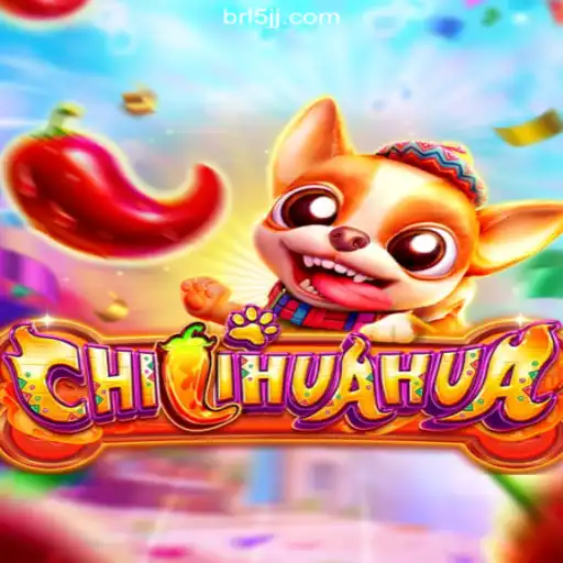 Exploring the Thrills of CHILIHUAHUA on 5JJ.COM Platform-Oficial Slots Brasil #1
